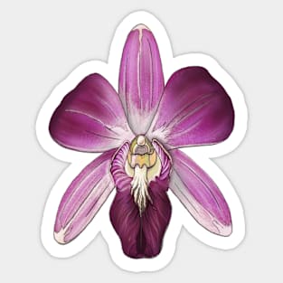 Hibiscus Flower Sticker